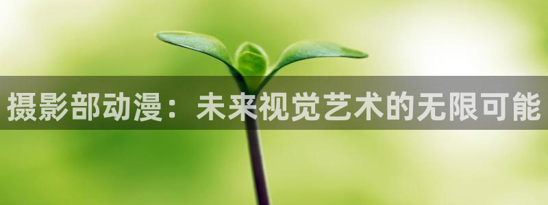 囧次元正版官方下载：摄影部动漫：未来视觉艺术的无限可能